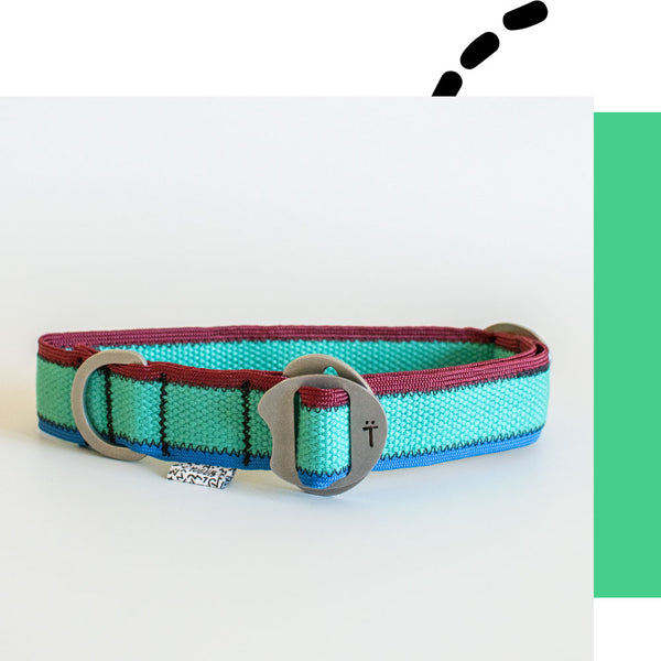 Colour Lines Collar / Teal