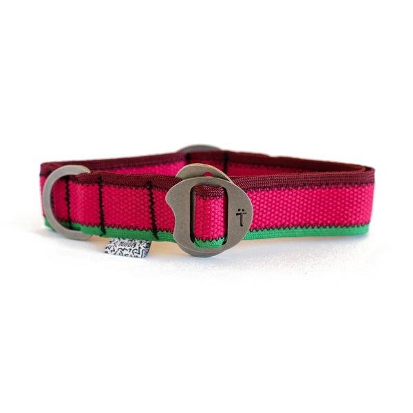 Colour Lines Collar / Pink